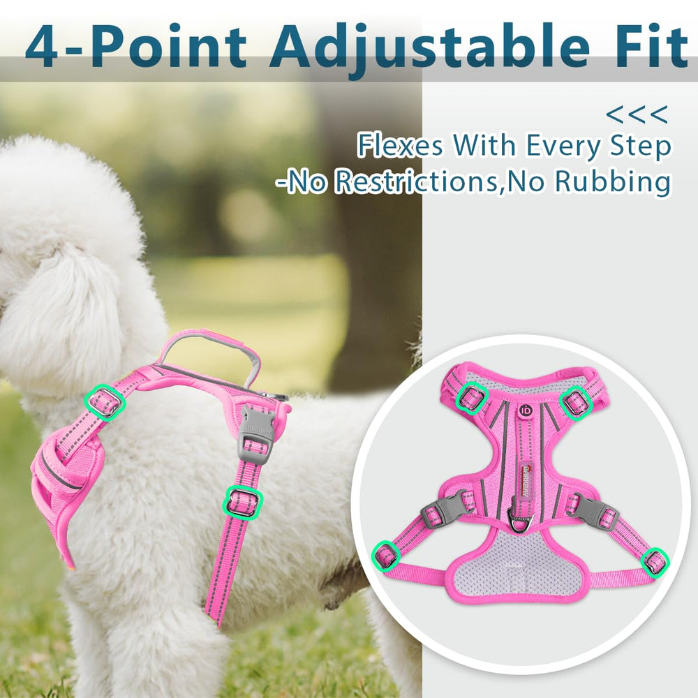 BARKBAY dog harness showing its adjustable fit.