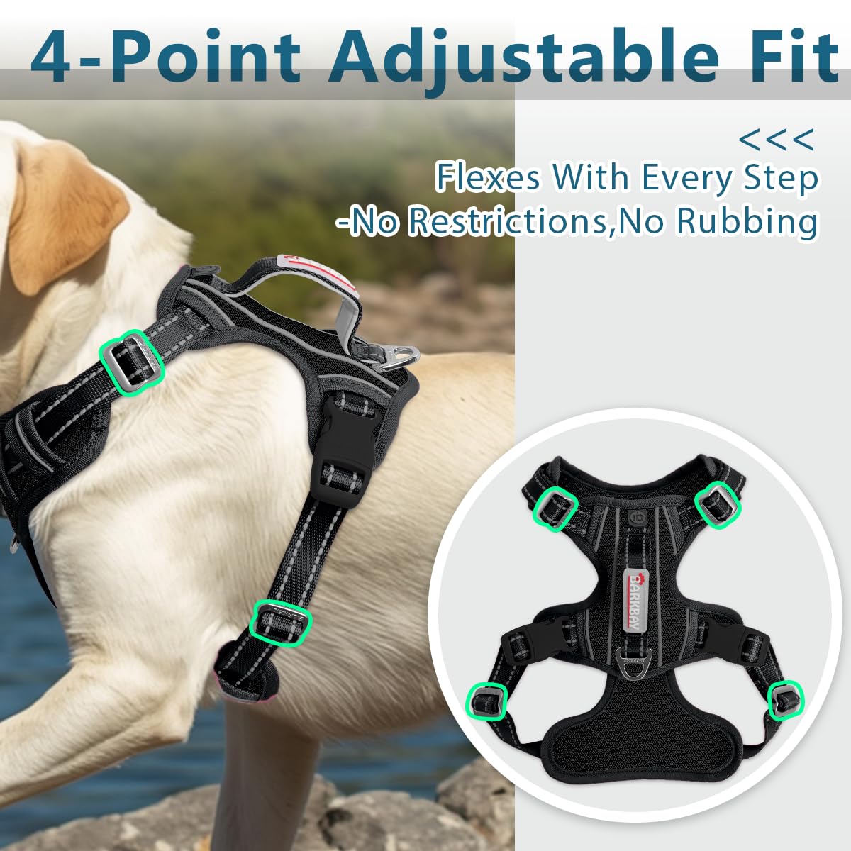 BARKBAY dog harness showing its adjustable fit.