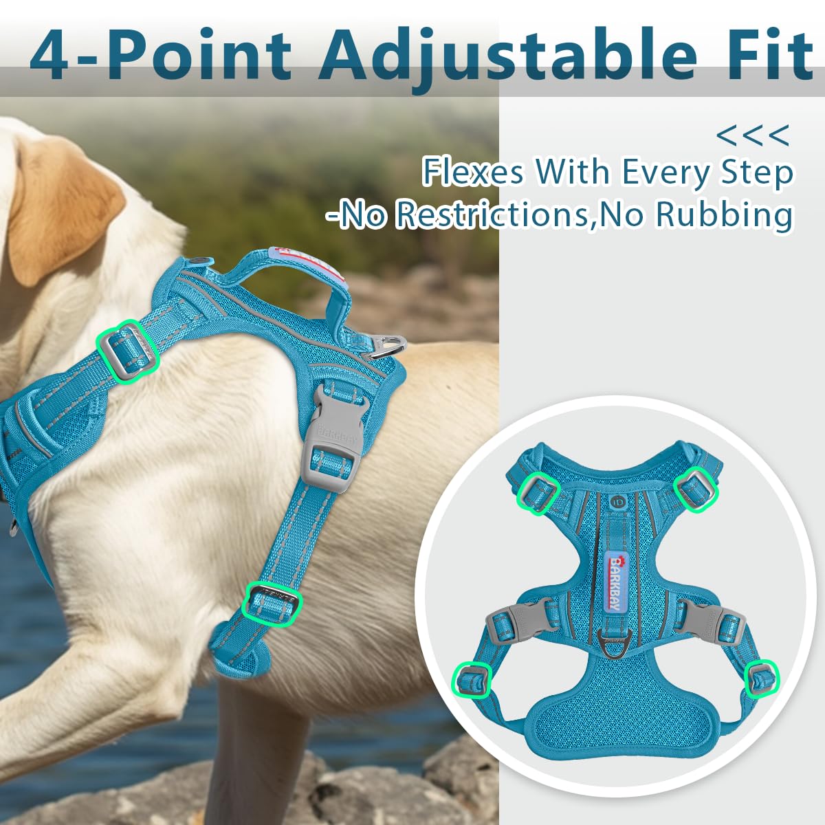 BARKBAY dog harness adjustable straps shown in detail.