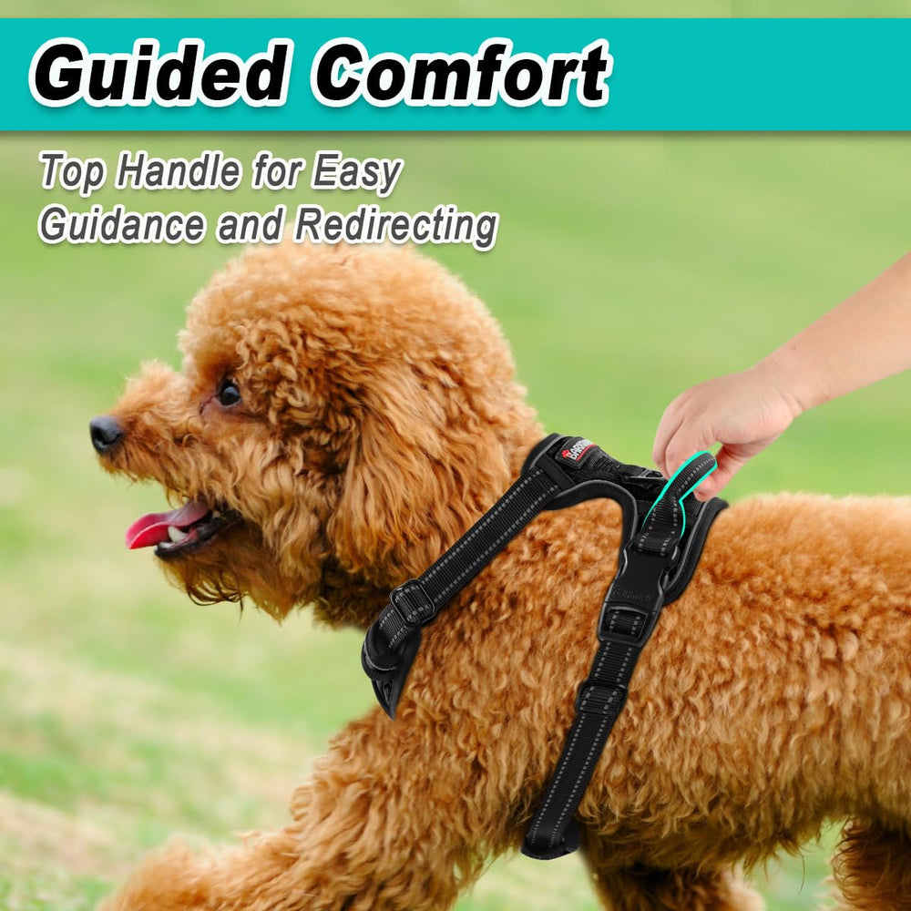 BARKBAY dog harness adjustable straps shown close up.