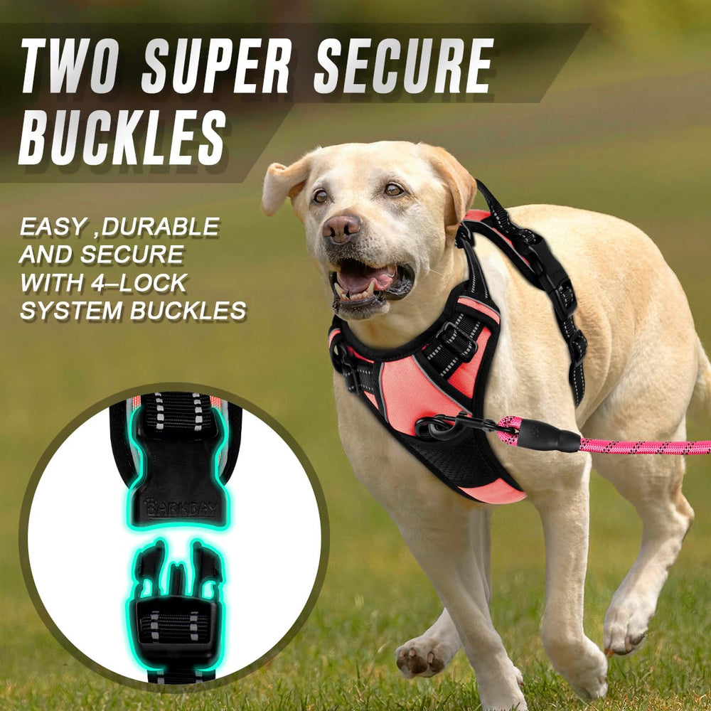 BARKBAY dog harness back leash attachment point shown close up.