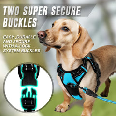 BARKBAY Dog Harness detail of the metal leash attachment on the back.
