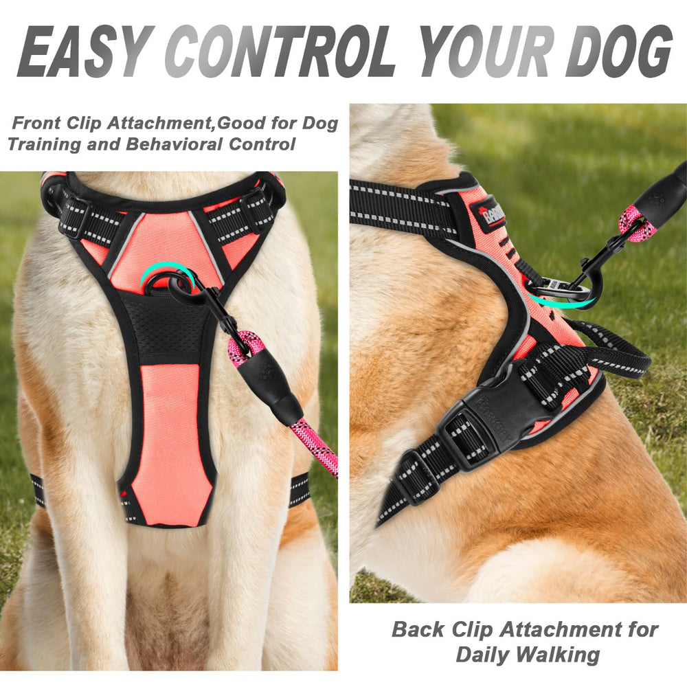 BARKBAY dog harness shown from the back.