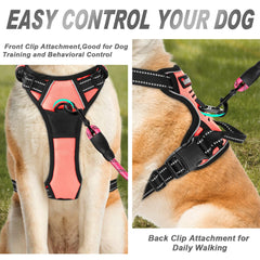 BARKBAY dog harness shown from the back.