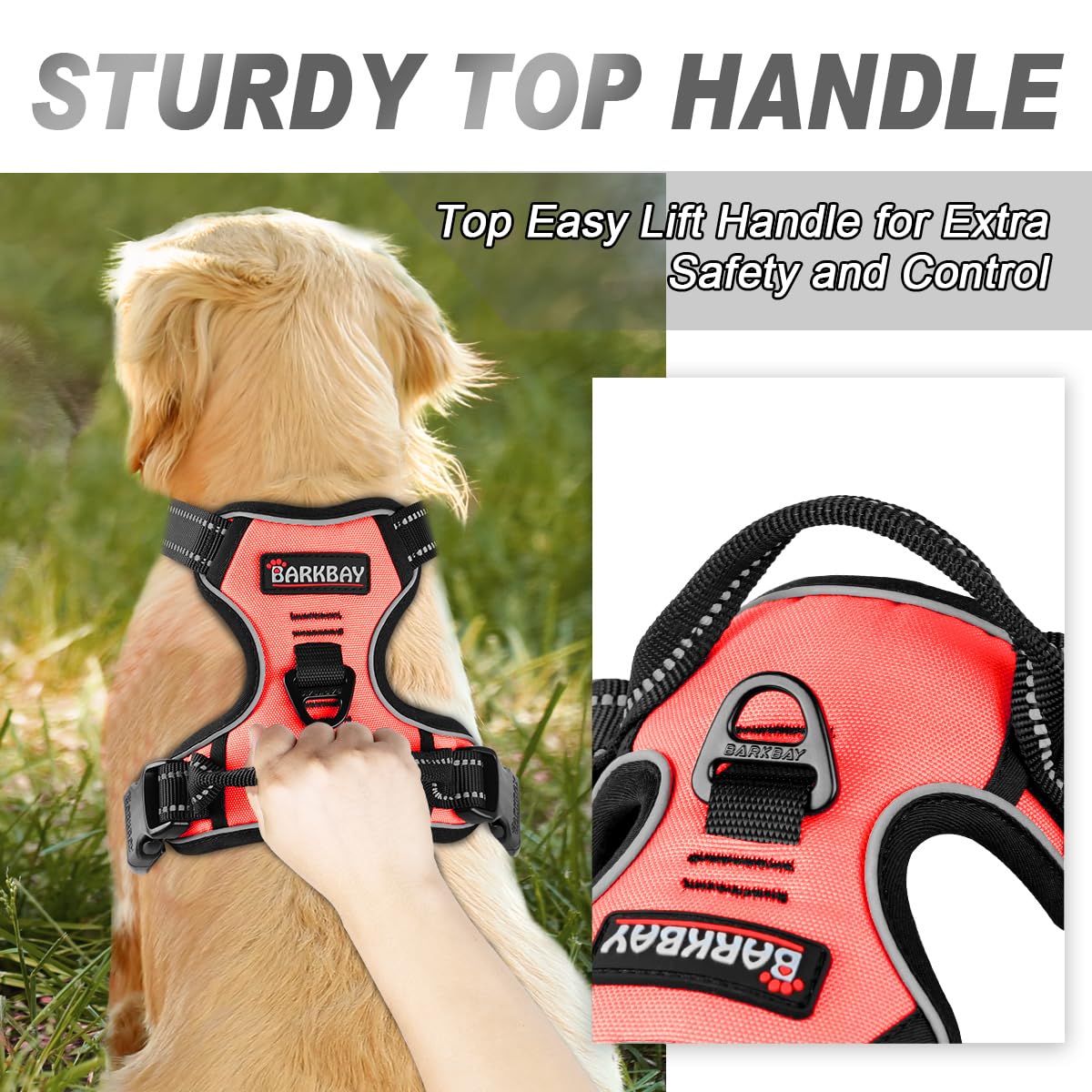 BARKBAY dog harness chest leash attachment point shown close up.