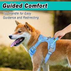 BARKBAY dog harness close-up of the front leash attachment.