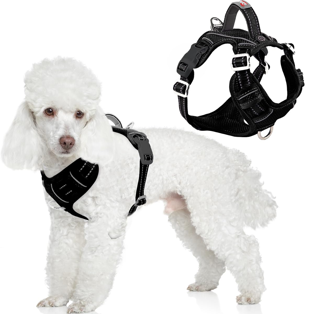 BARKBAY dog harness shown from the front in black.