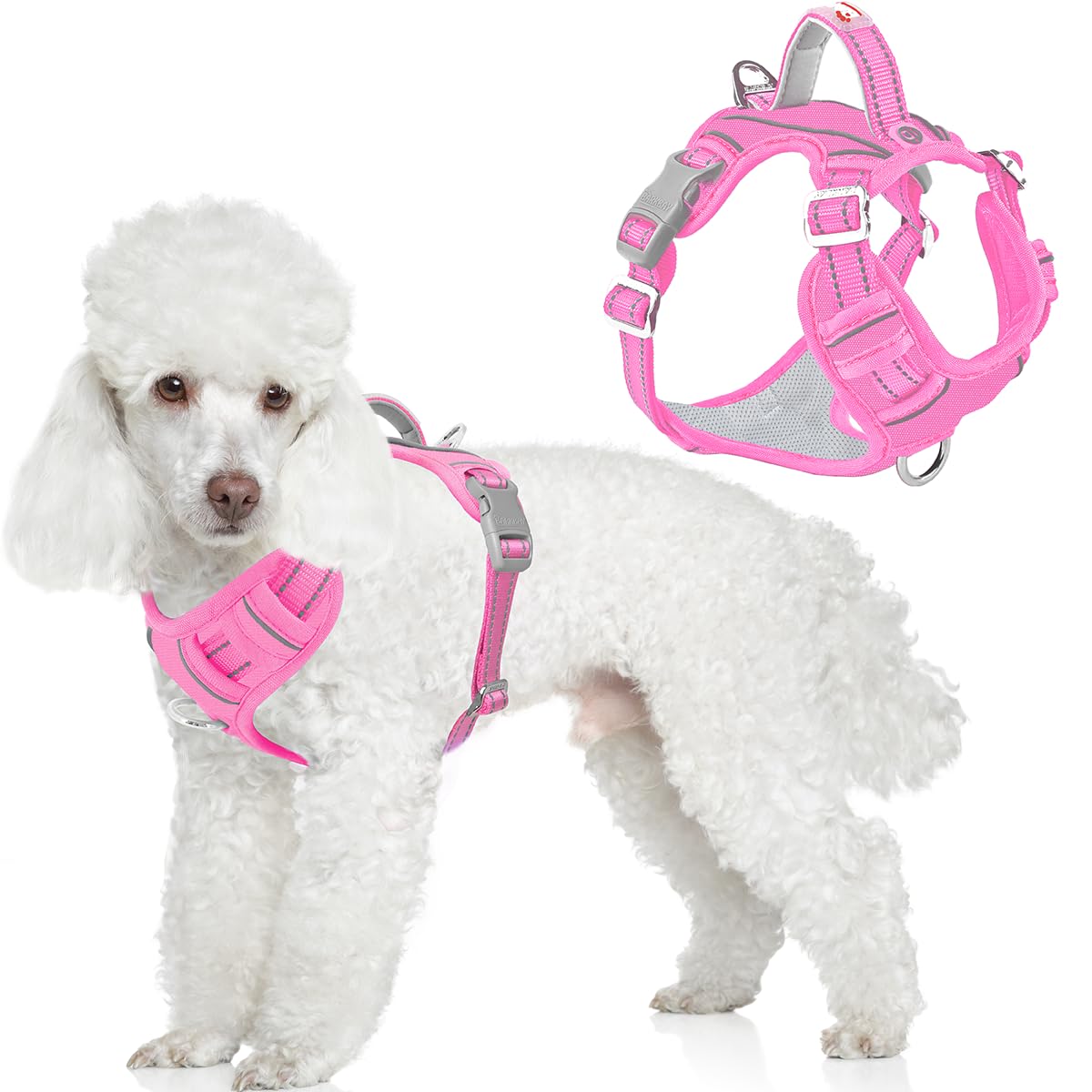 BARKBAY dog harness shown from the front.
