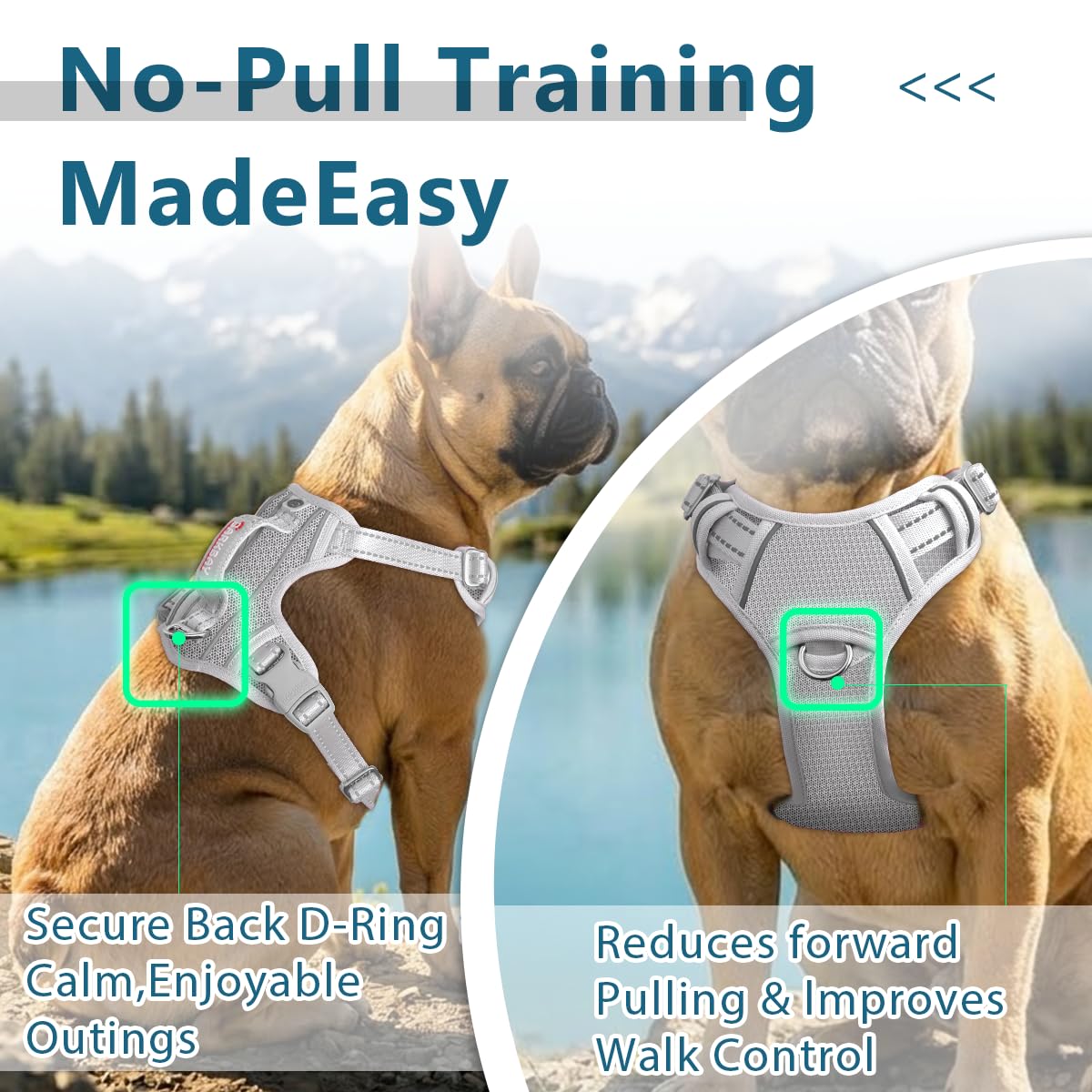 BARKBAY dog harness detail showing the pocket for an ID tag.