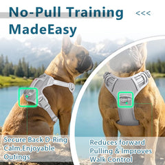 BARKBAY dog harness detail showing the pocket for an ID tag.