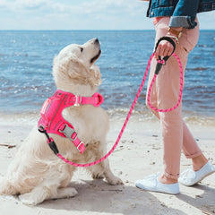 BARKBAY dog harness ID tag pocket shown close up.