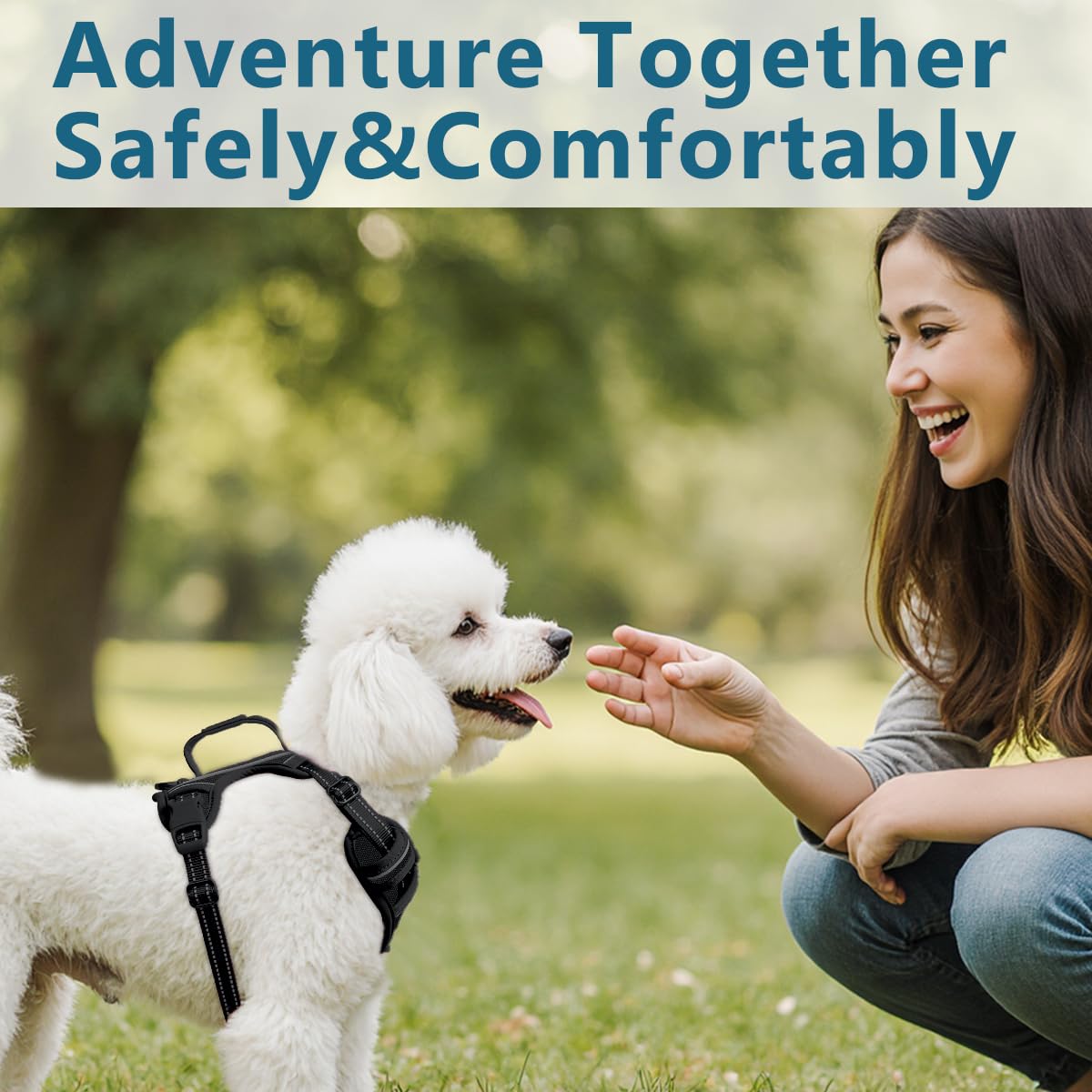 BARKBAY dog harness shown worn by a small dog.