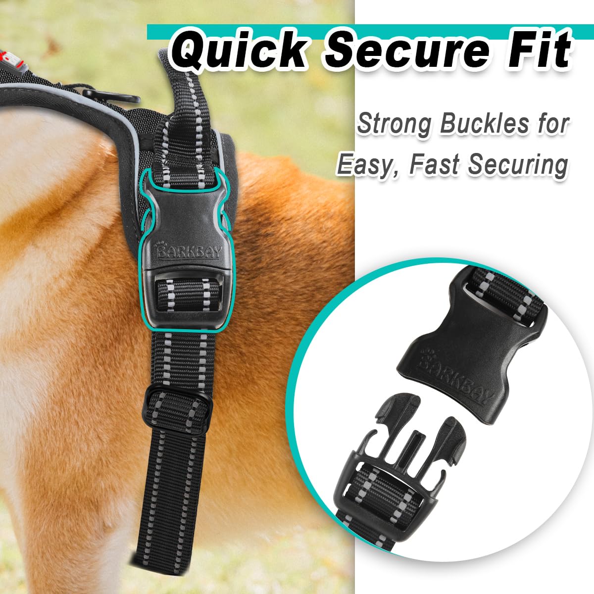 BARKBAY dog harness worn by a small dog.