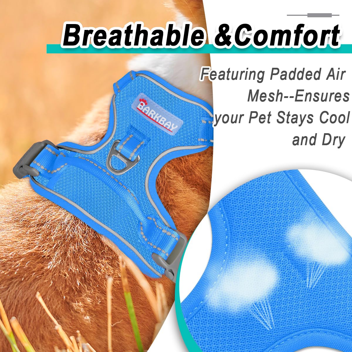 BARKBAY dog harness shown on a dog during an outdoor walk.
