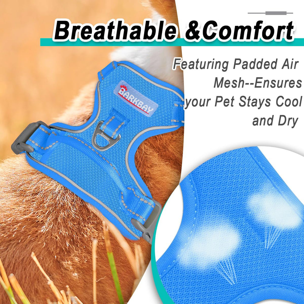 BARKBAY dog harness shown on a dog during an outdoor walk.