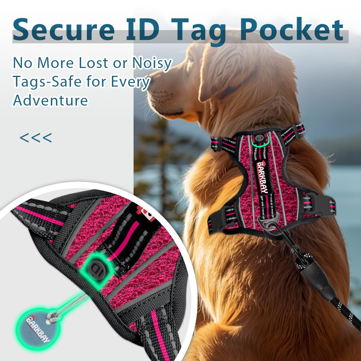 BARKBAY dog harness shown from a rear angle.