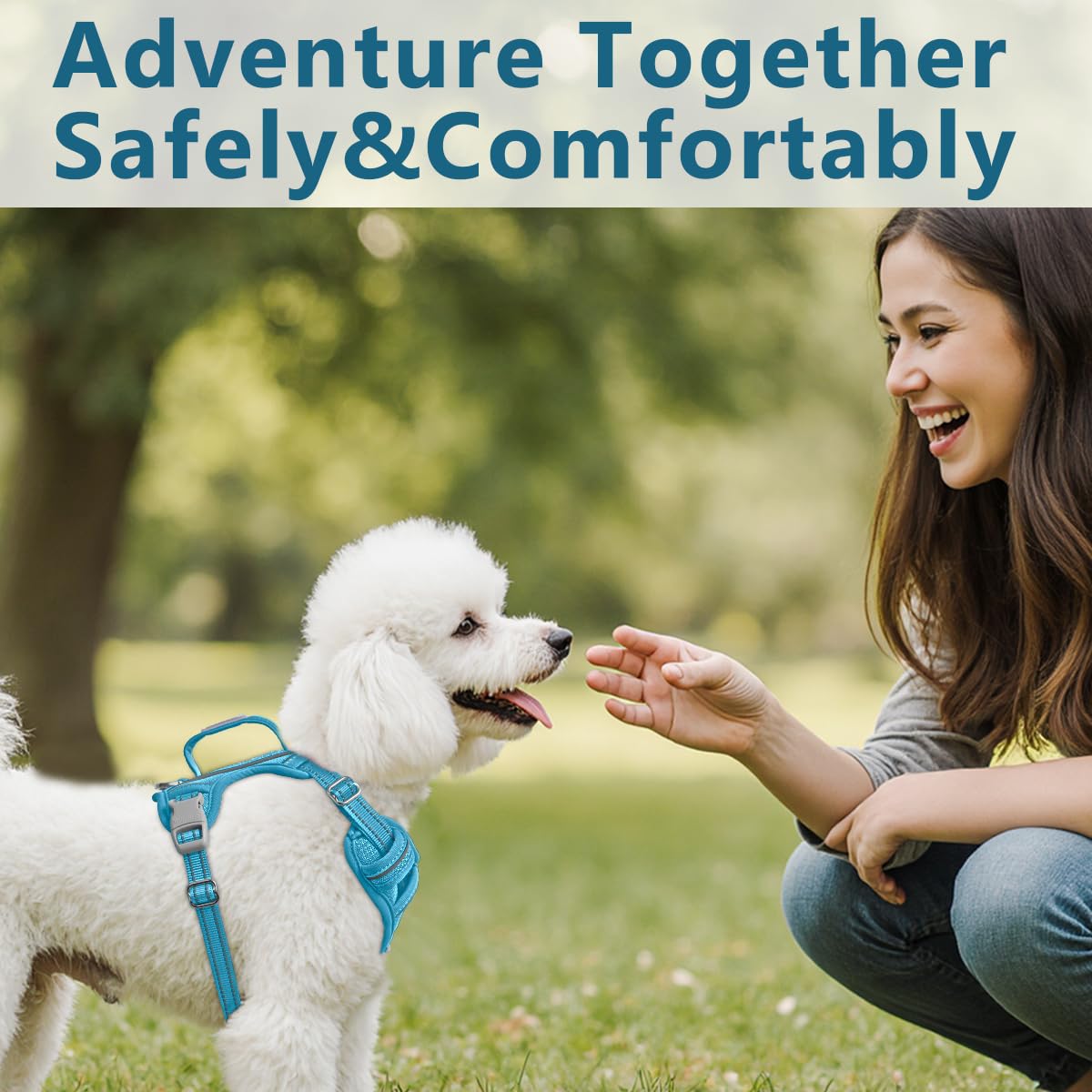 BARKBAY dog harness shown from the rear.