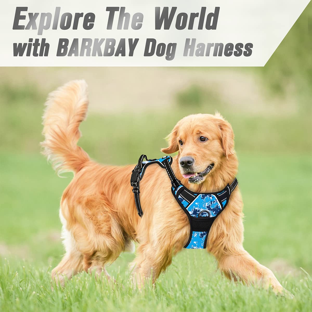 BARKBAY dog harness shown being worn by a small-sized dog.