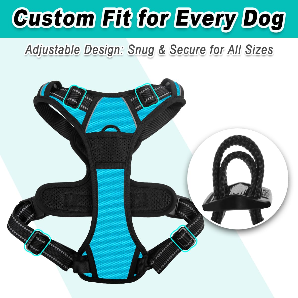A small dog wearing the BARKBAY dog harness.