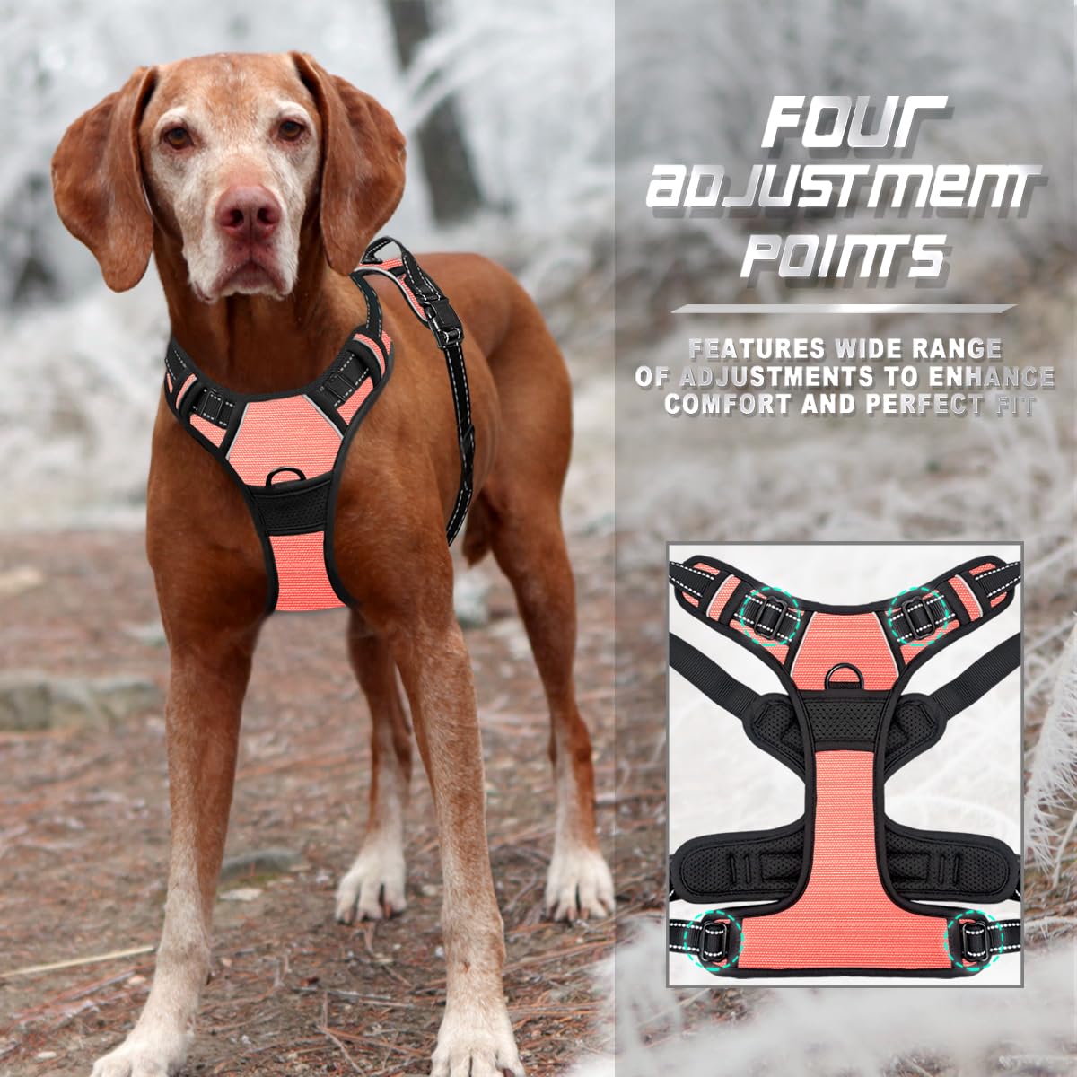 BARKBAY dog harness top lift handle shown close up.