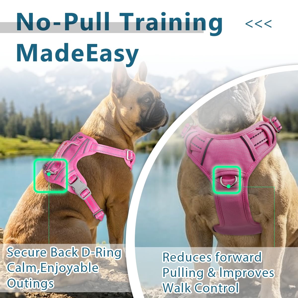 BARKBAY dog harness top handle shown close up.