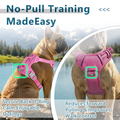 BARKBAY dog harness top handle shown close up.