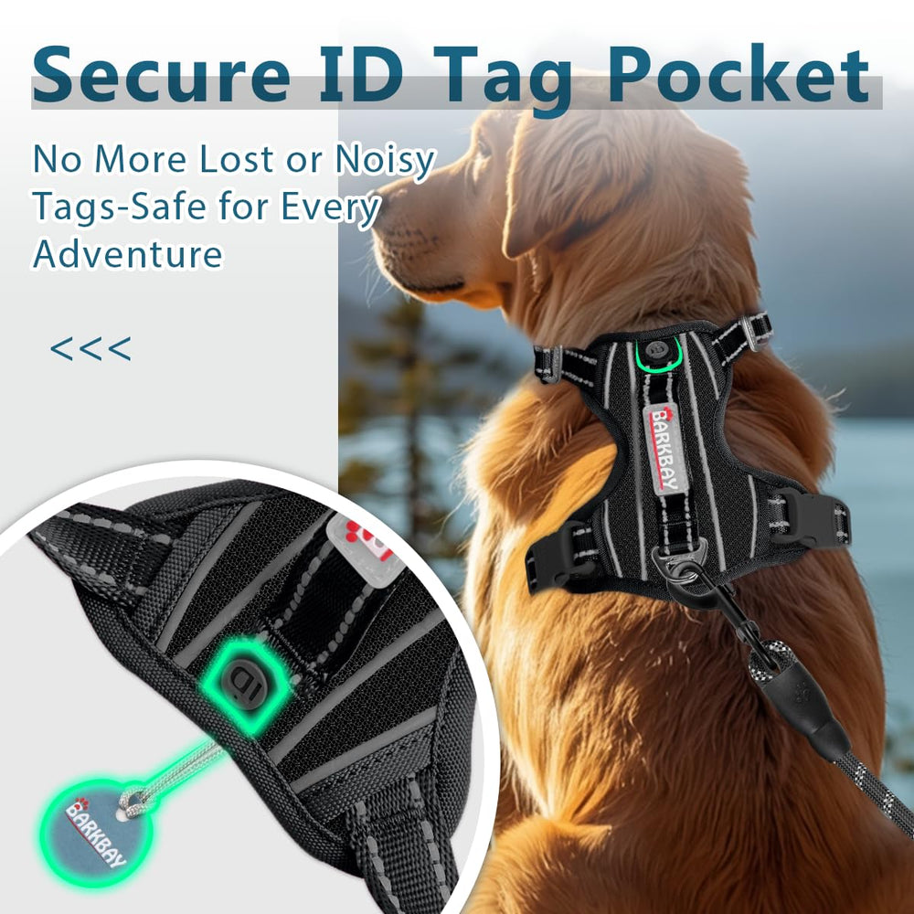 BARKBAY dog harness shown from an alternate angle.