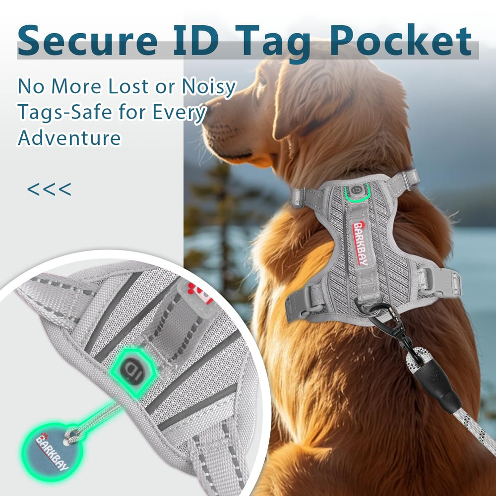 BARKBAY dog harness shown from an alternate angle.