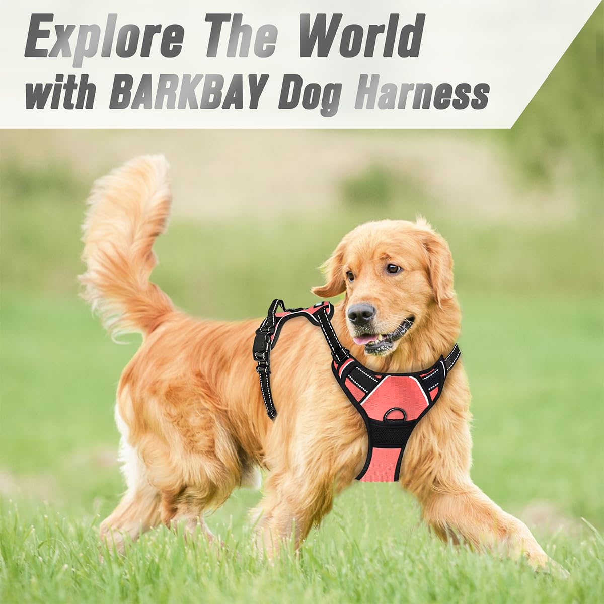 BARKBAY dog harness vest design shown from an alternate angle.