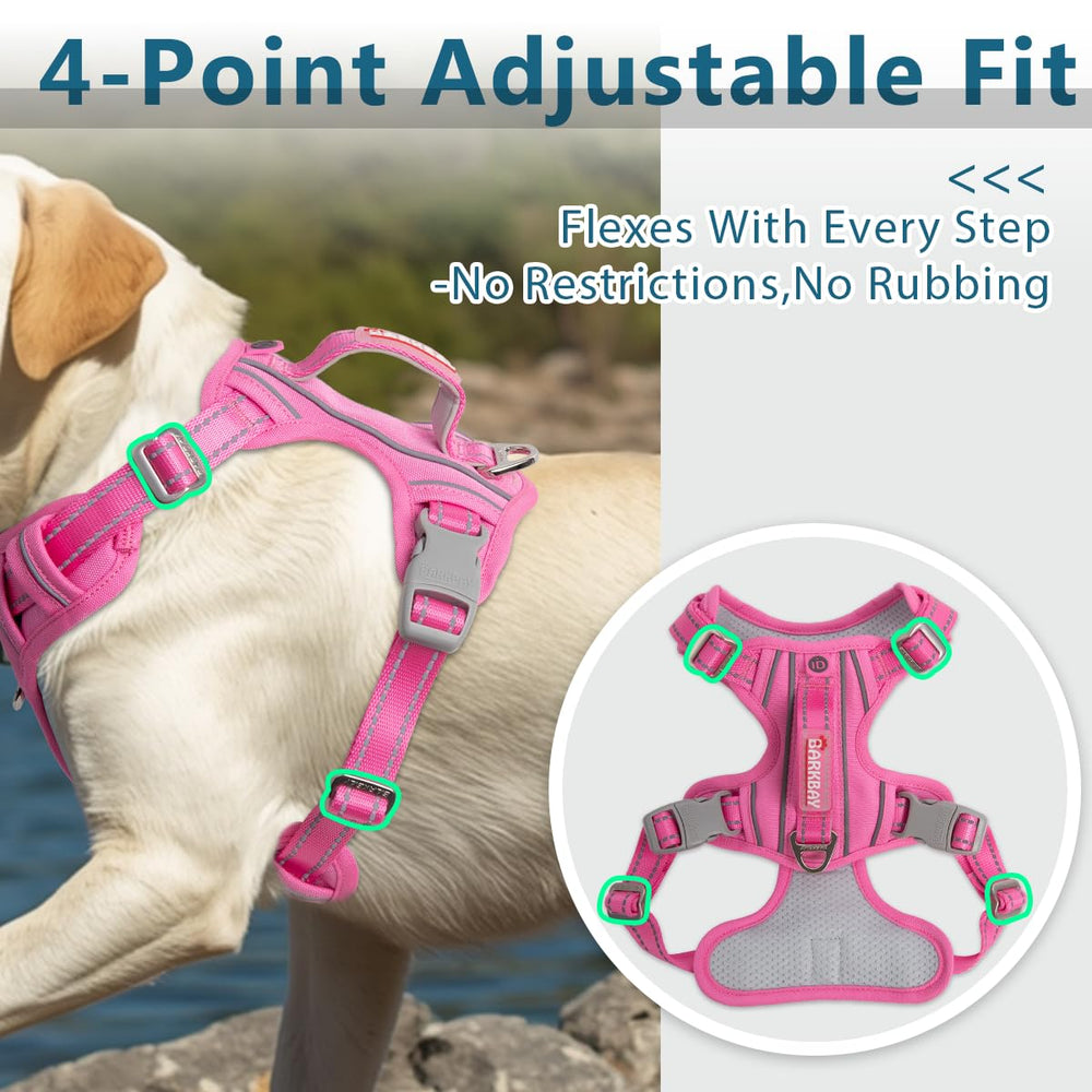 BARKBAY dog harness shown in use on a walk.