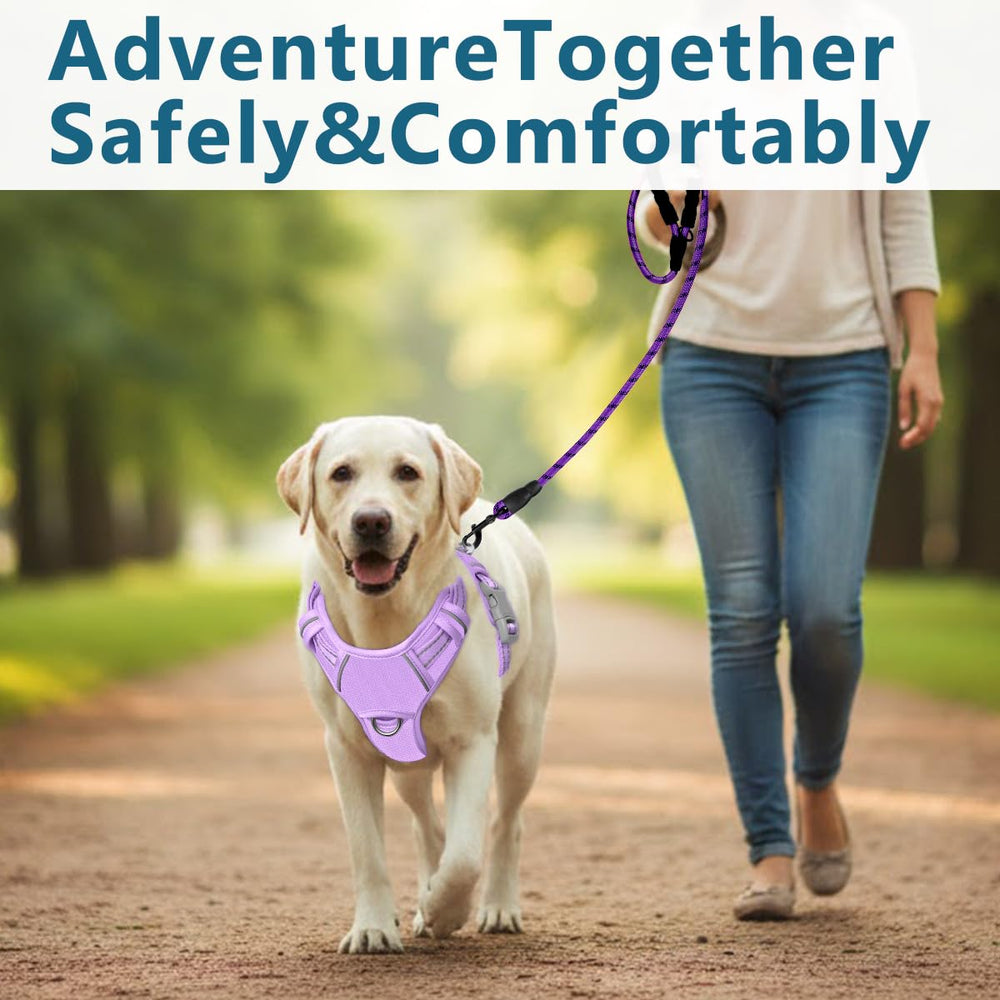 BARKBAY dog harness shown during a walk.