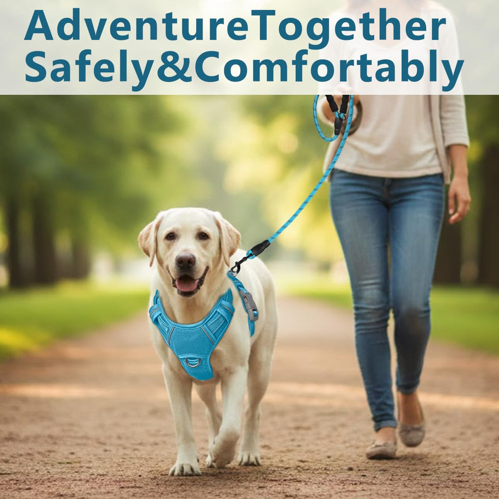 BARKBAY dog harness shown being worn by a dog.