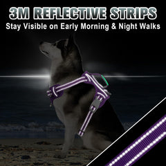 BARKBAY dog harness detail showing its reflective strips.