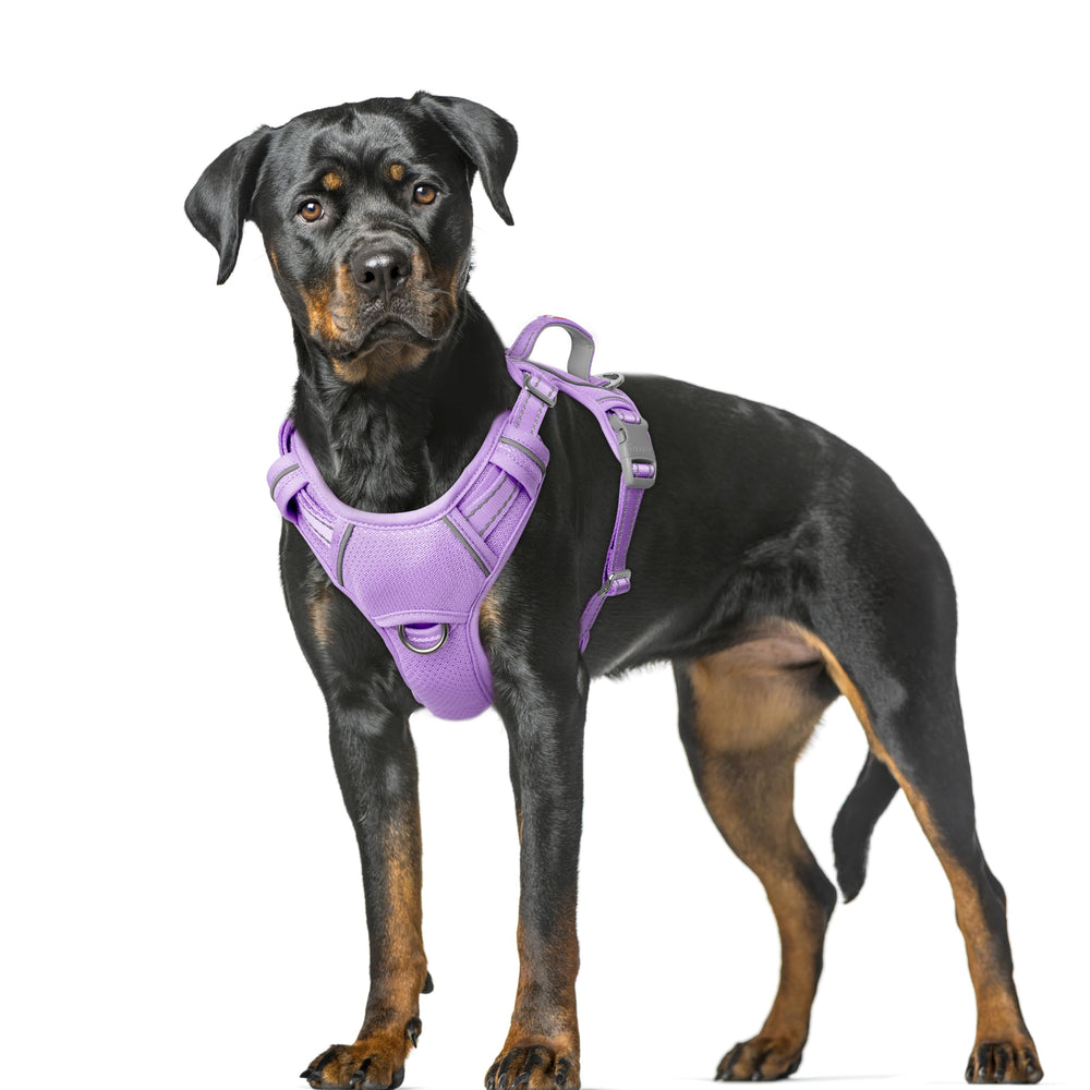 BARKBAY large dog harness shown from the front.