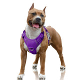 BARKBAY large dog harness shown from the front.