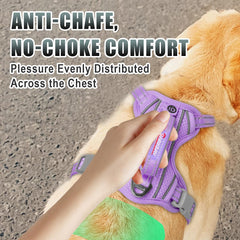 BARKBAY large dog harness showing its no-rip nylon construction.