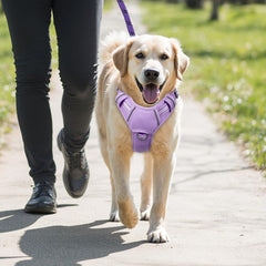 BARKBAY large dog harness shown worn by a dog.