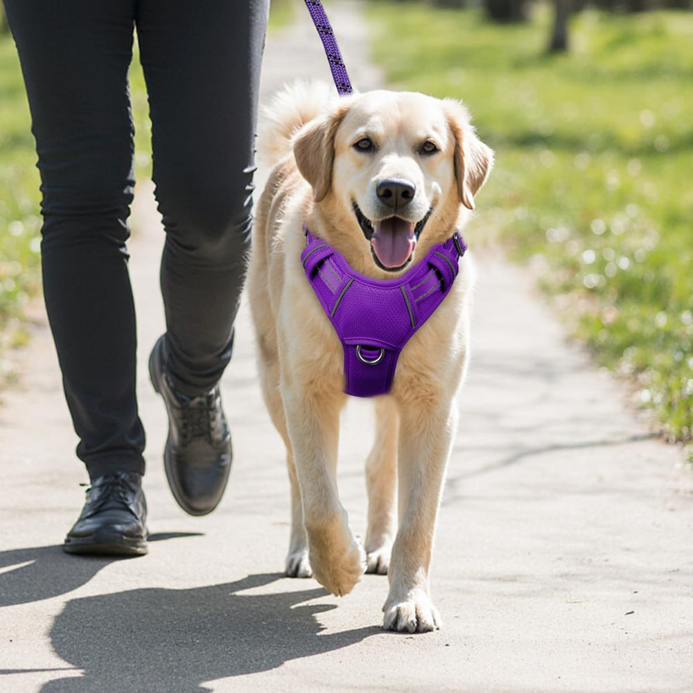 BARKBAY large dog harness shown worn by a dog.