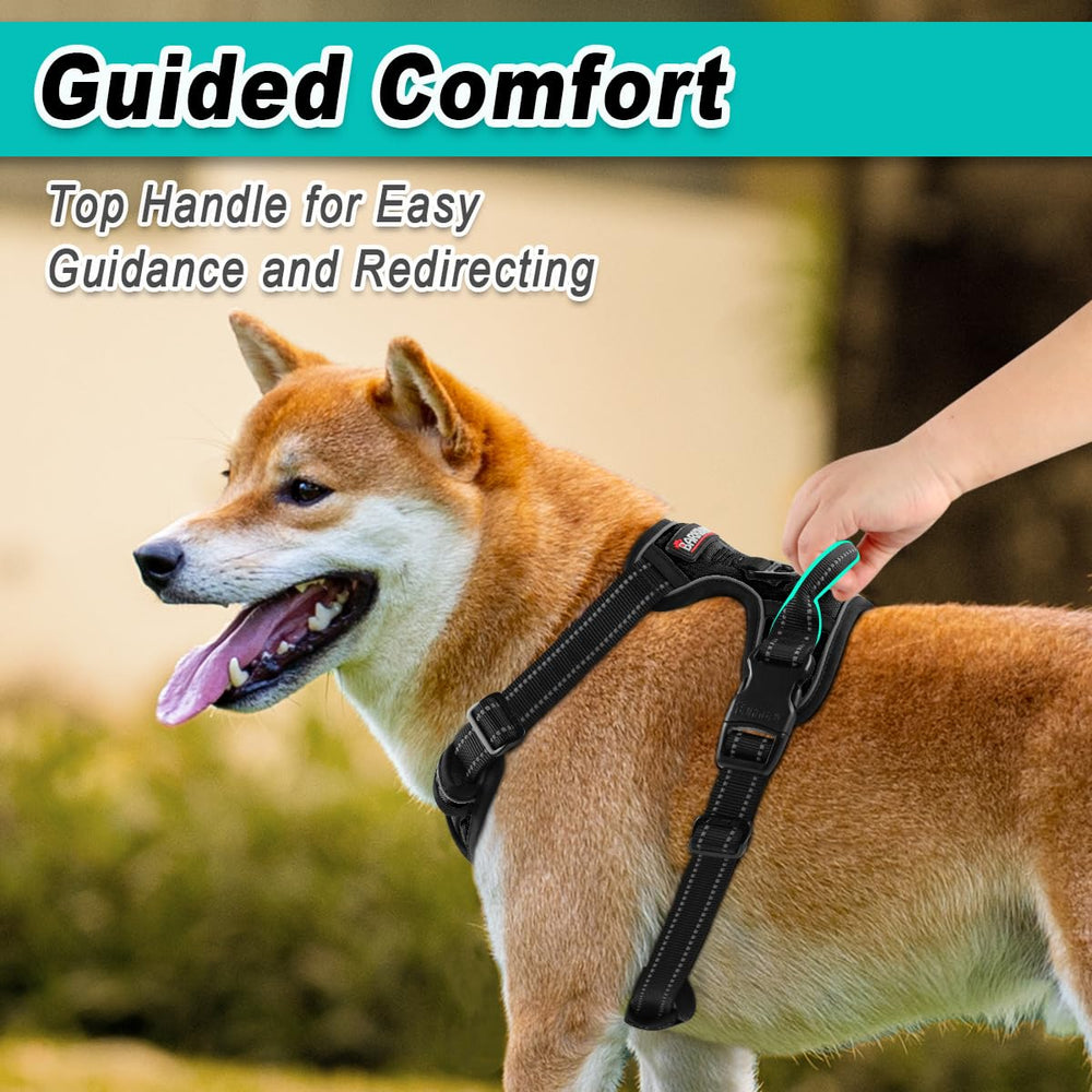 BARKBAY small dog harness adjustable straps shown in detail.