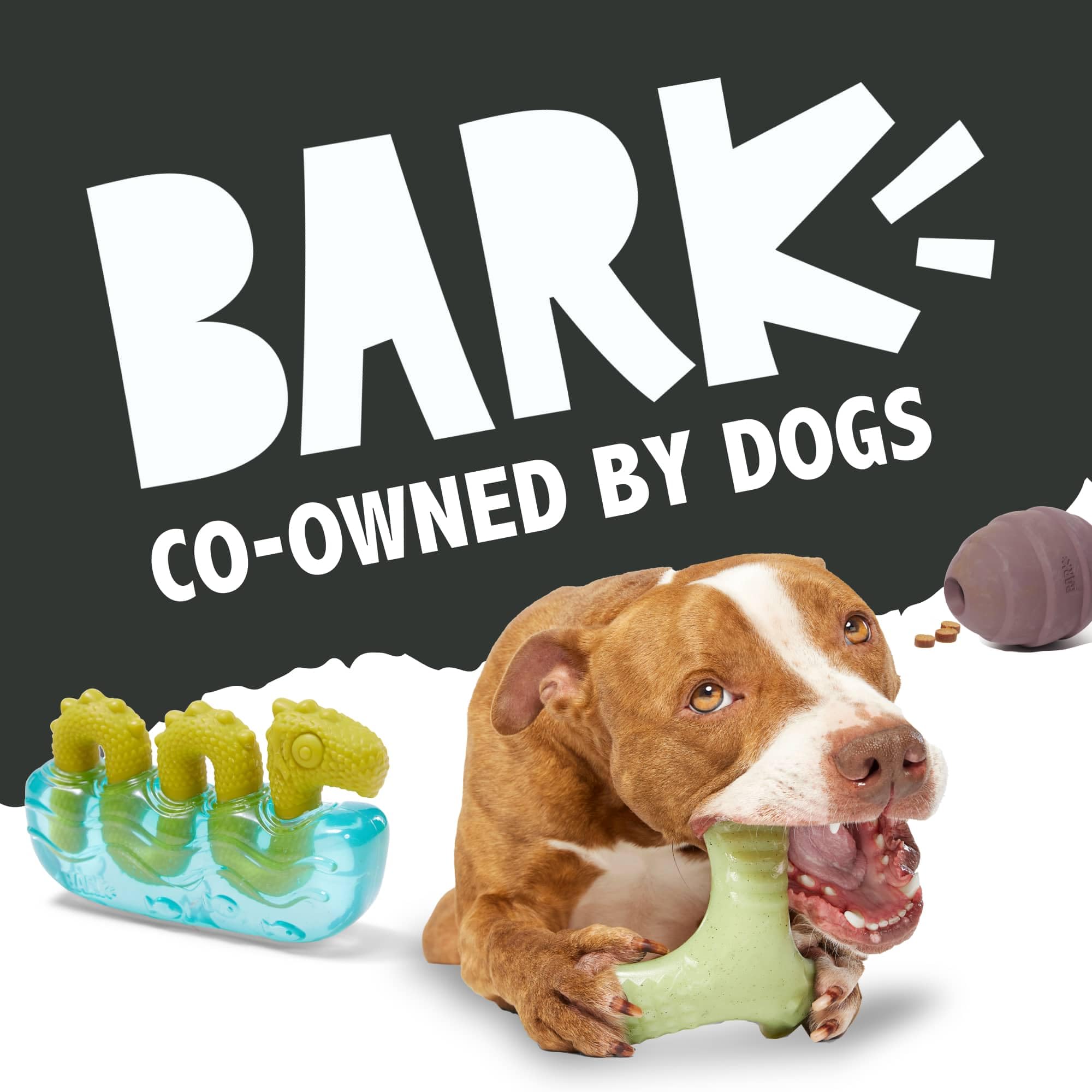 BarkBox Captain Parrot dog toy shown during a chew-play session.