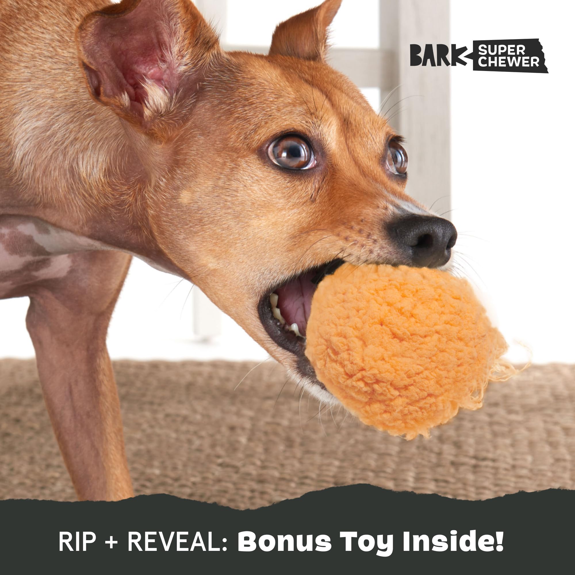 BarkBox Cheeze Brawl plush toy showing the rip-and-reveal layered design.