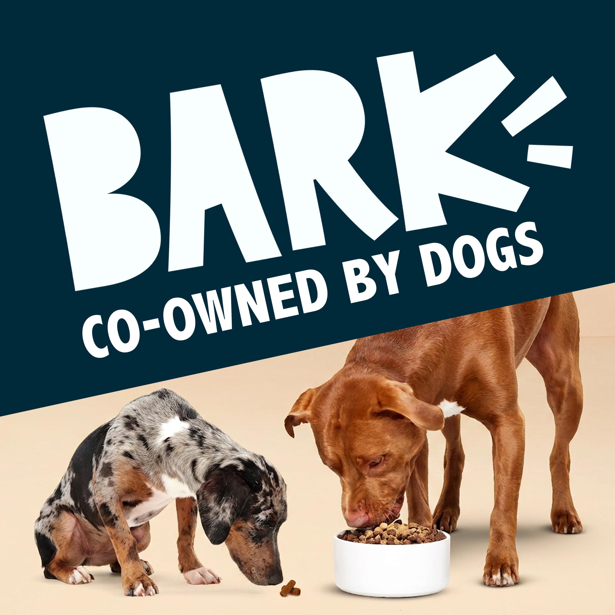 BarkBox dog treat topper bottle shown being shaken and poured.