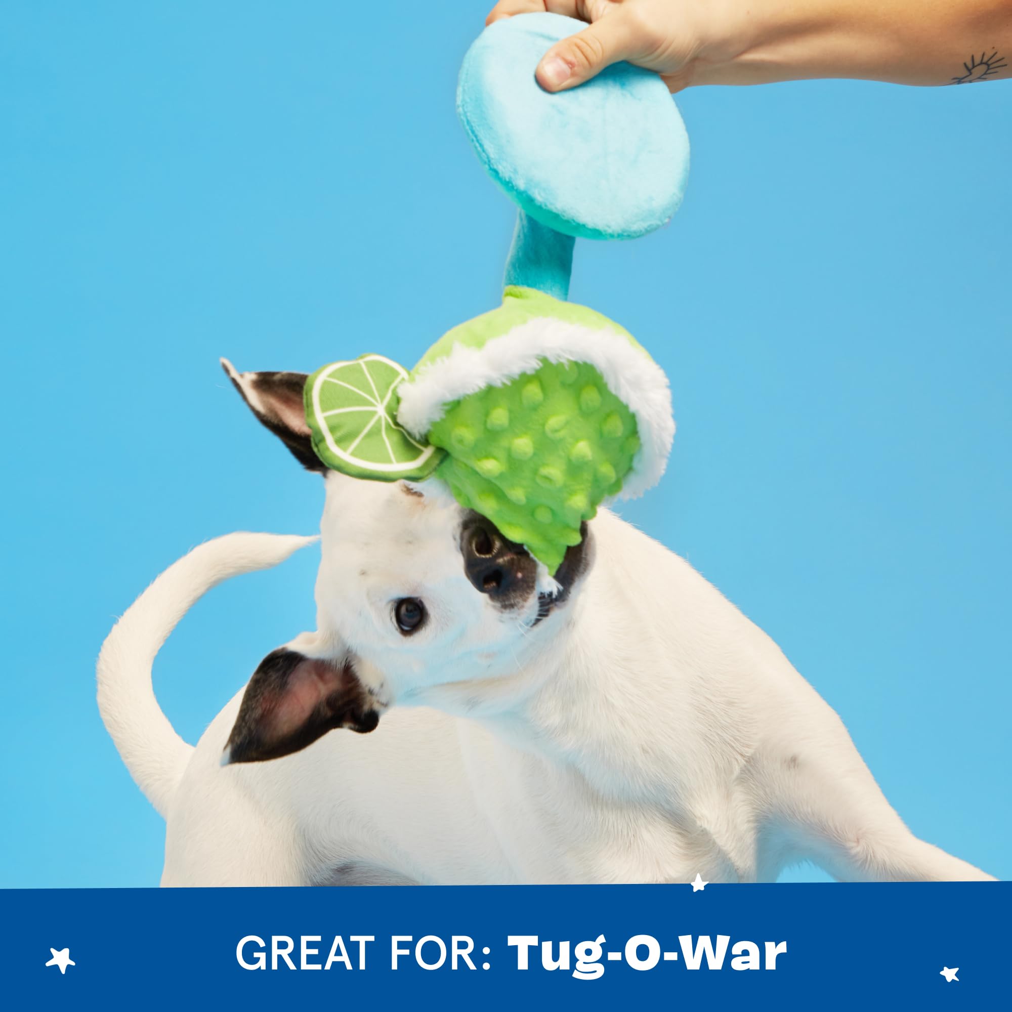BarkBox Fiesta Party Bundle Piñata detail showing its streamer tail.