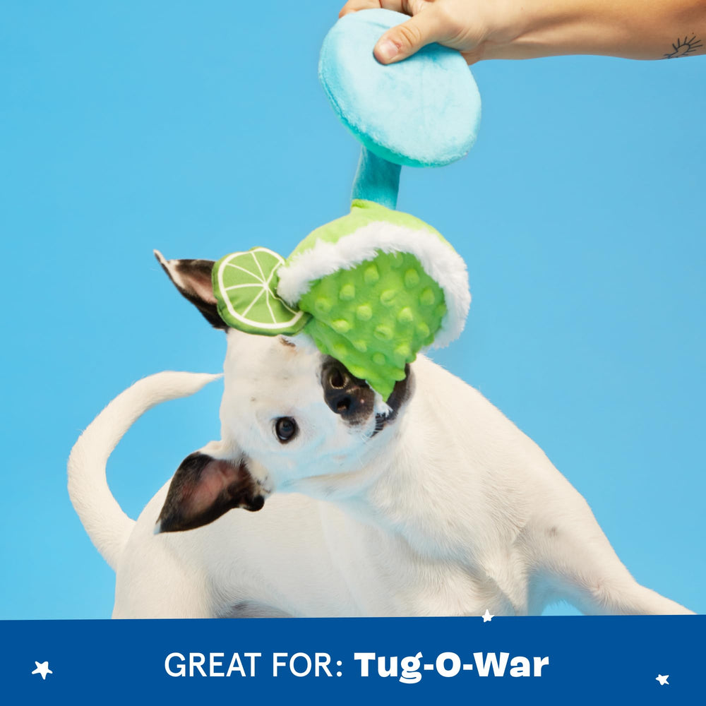 BarkBox Fiesta Party Bundle Piñata detail showing its streamer tail.