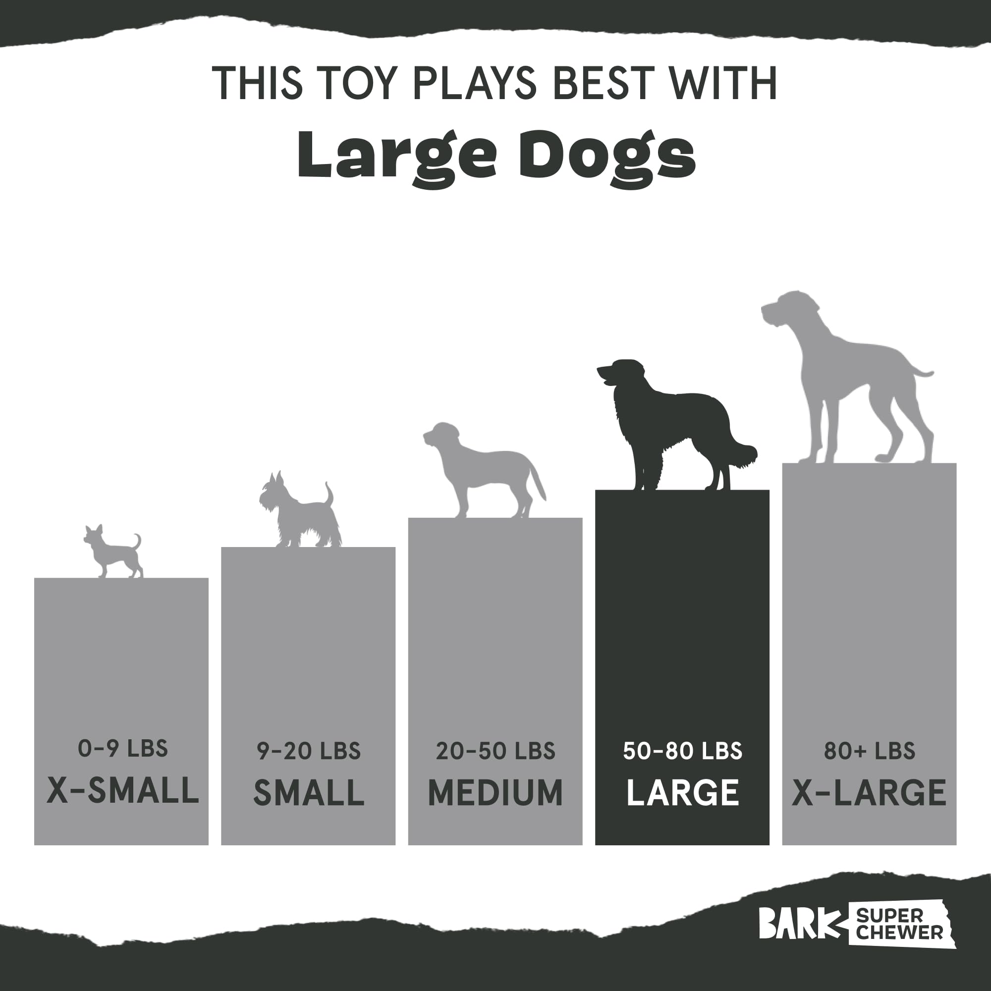 BarkBox Margrrrita dog toy shown with kibble as part of playtime.