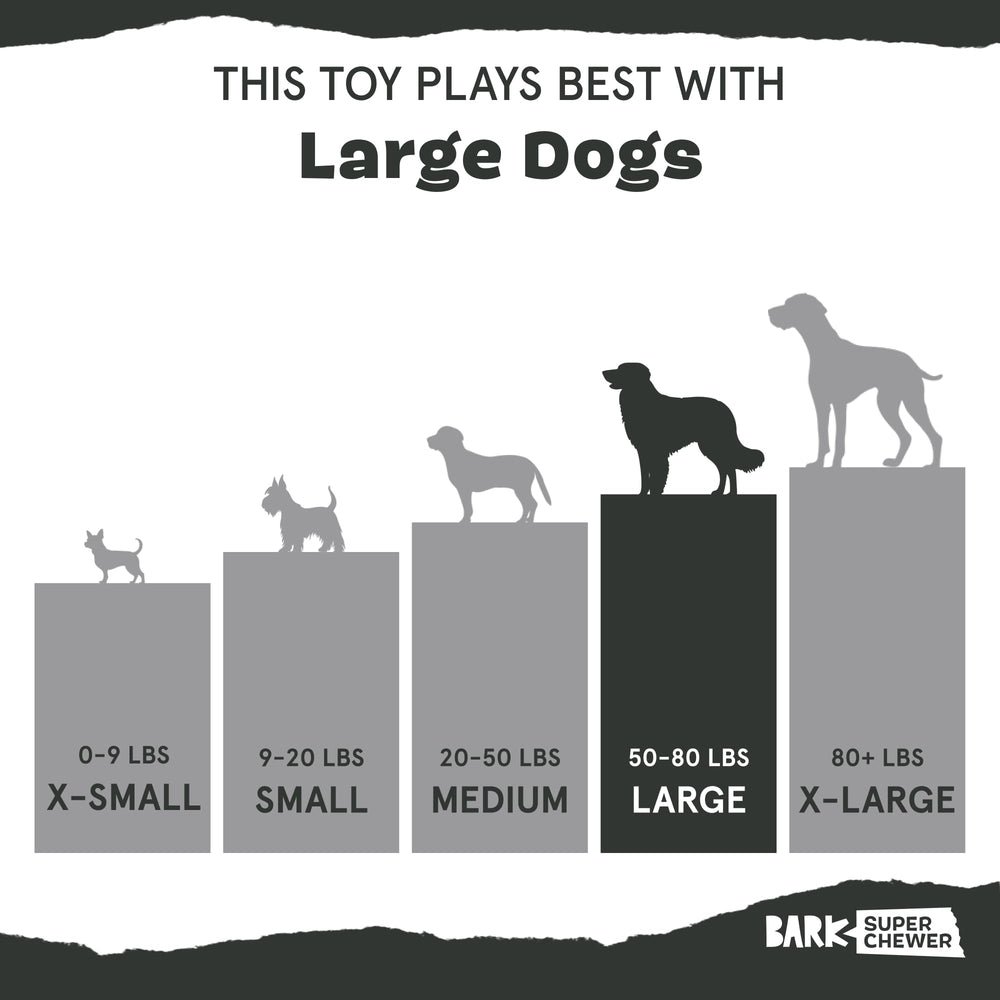 BarkBox Margrrrita dog toy shown with kibble as part of playtime.