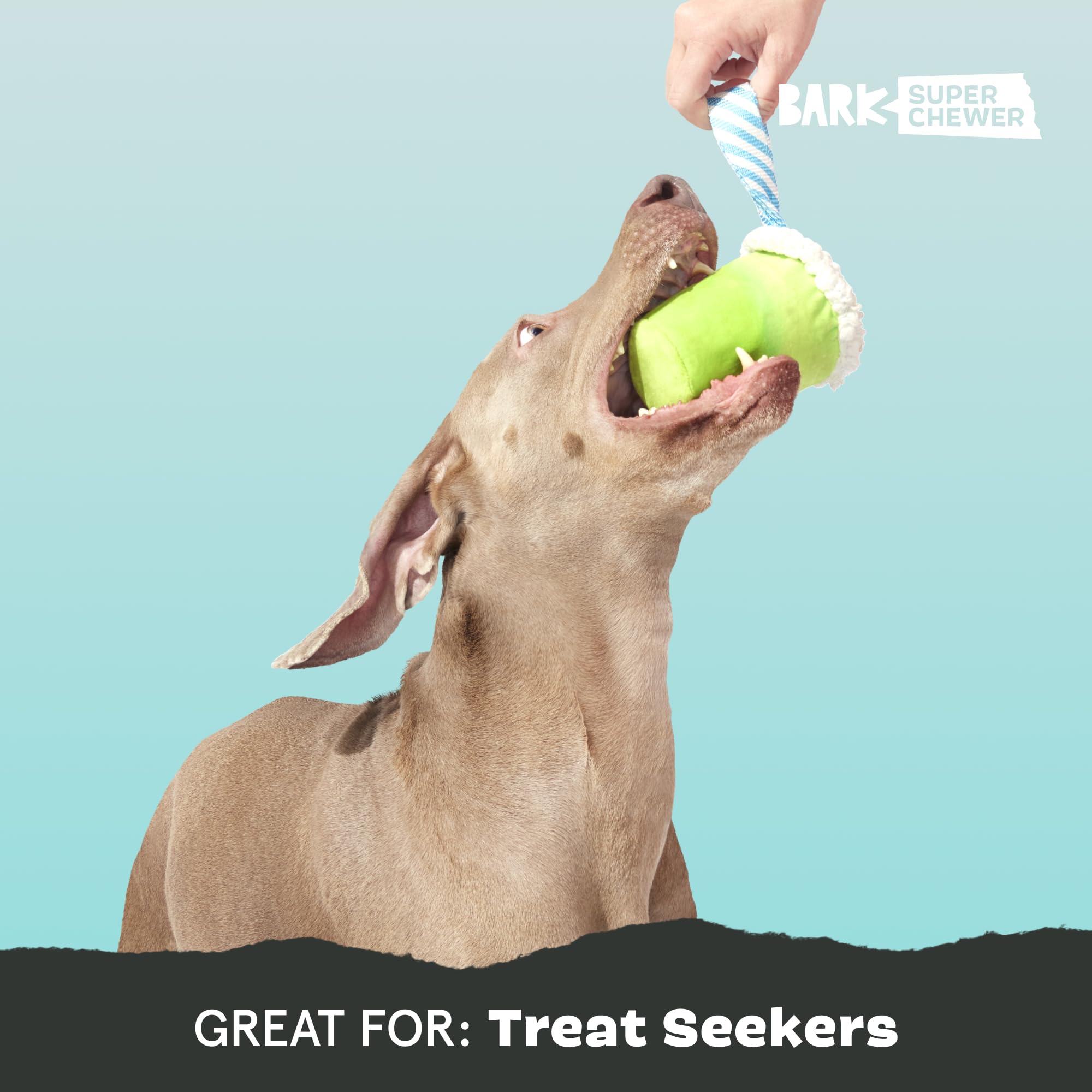 BarkBox Margrrrita dog toy shown with treats added for play.
