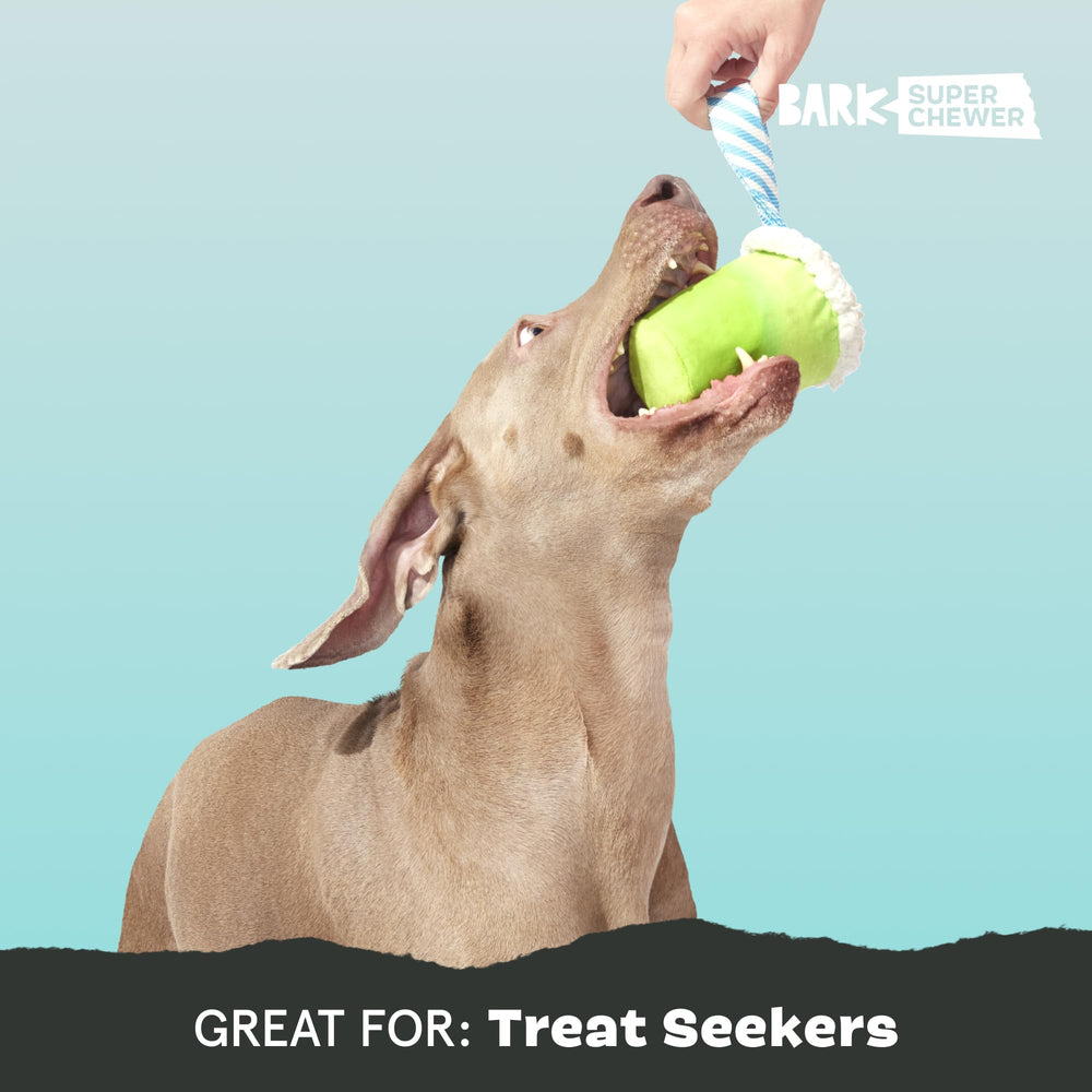 BarkBox Margrrrita dog toy shown with treats added for play.