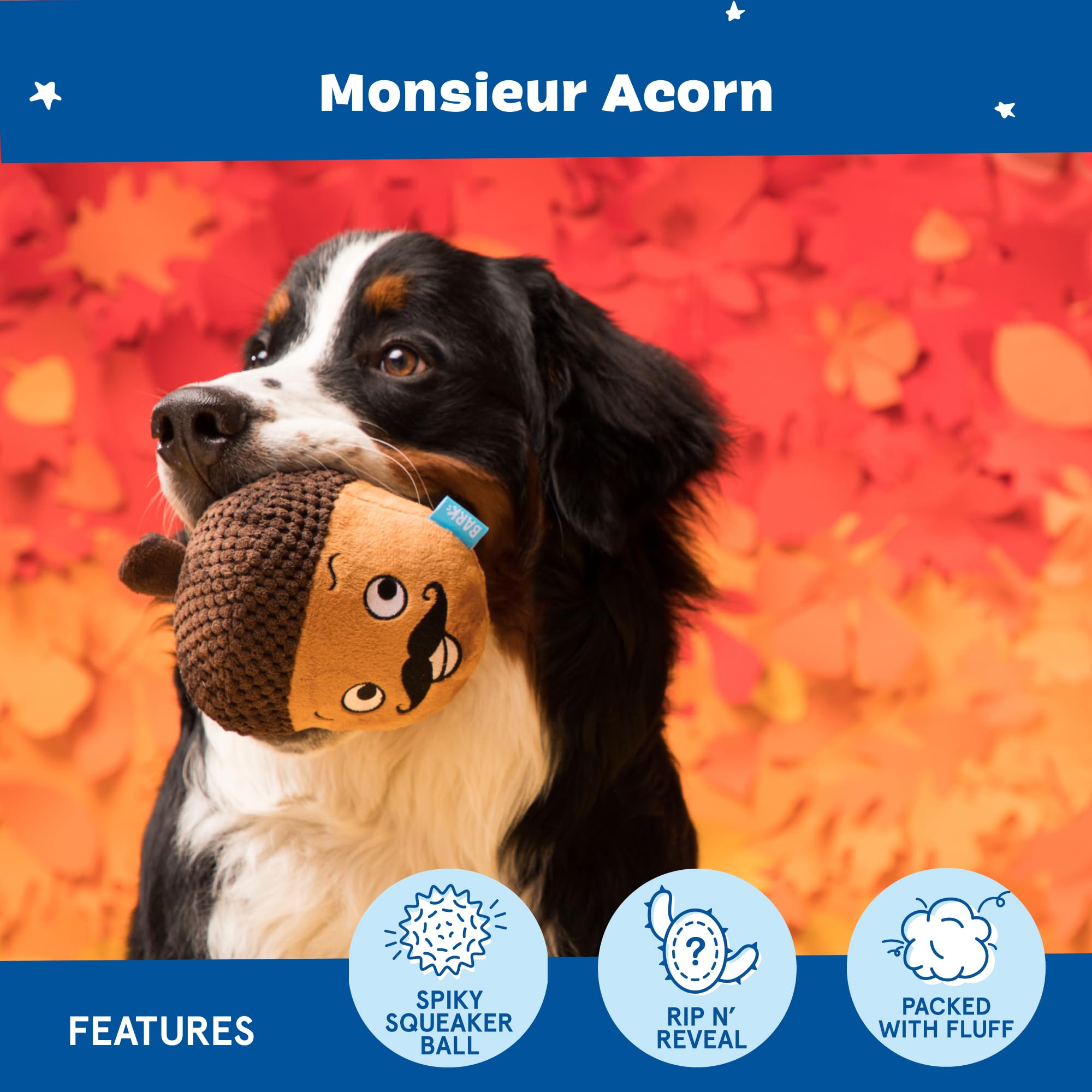 BarkBox Monsieur Acorn plush dog toy with the hidden bonus toy revealed.