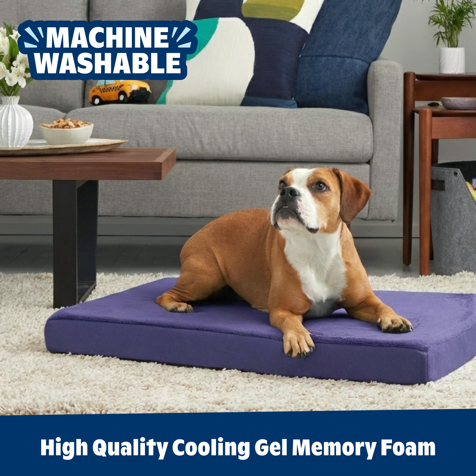 BarkBox Orthopedic Dog Bed close-up highlighting its water-resistant cover.